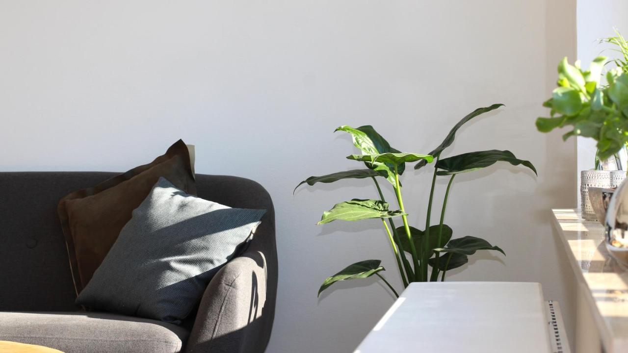 Seeblick25 - Apartments - Balkony - Wifi - Great View - New & Modern ヴィンターベルク エクステリア 写真